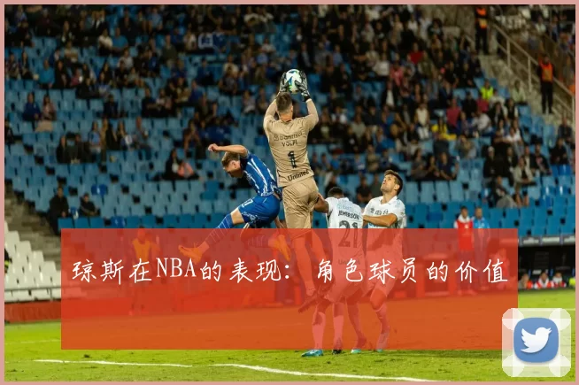 琼斯在NBA的表现：角色球员的价值