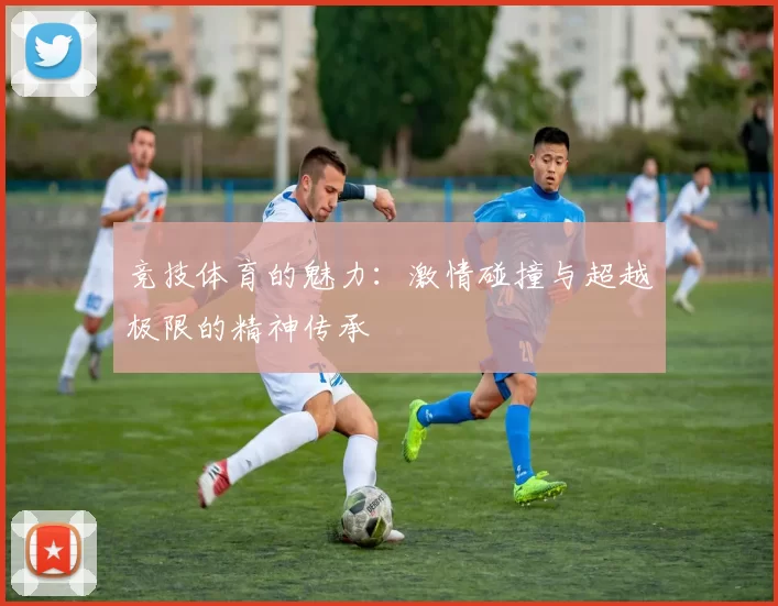 竞技体育的魅力：激情碰撞与超越极限的精神传承