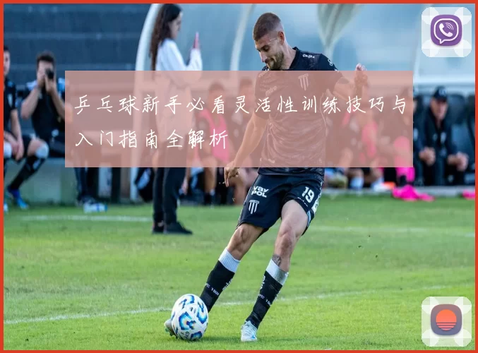 乒乓球新手必看灵活性训练技巧与入门指南全解析