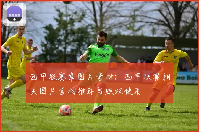 西甲联赛章图片素材：西甲联赛相关图片素材推荐与版权使用