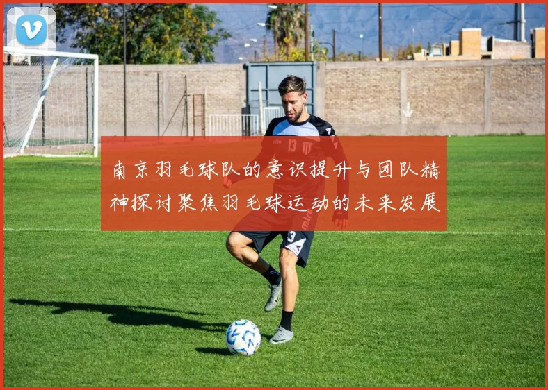 南京羽毛球队的意识提升与团队精神探讨聚焦羽毛球运动的未来发展
