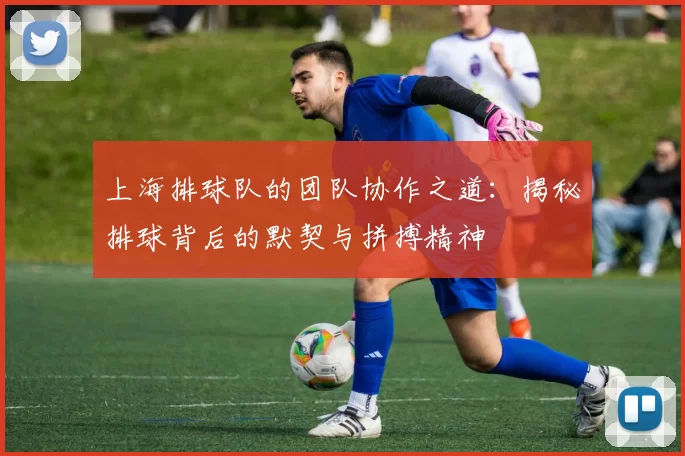 上海排球队的团队协作之道：揭秘排球背后的默契与拼搏精神