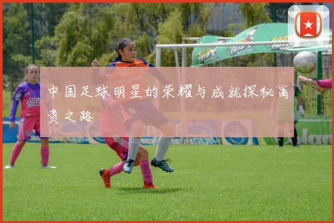 中国足球明星的荣耀与成就探秘高贵之路