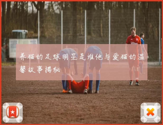 养猫的足球明星是谁他与爱猫的温馨故事揭秘