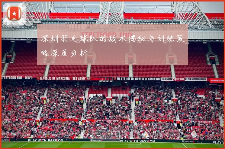 深圳羽毛球队的战术揭秘与训练策略深度分析