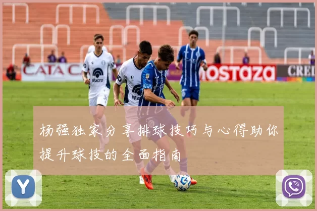 杨强独家分享排球技巧与心得助你提升球技的全面指南
