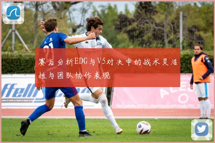 赛后分析EDG与V5对决中的战术灵活性与团队协作表现