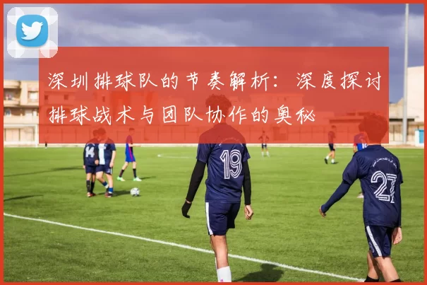 深圳排球队的节奏解析：深度探讨排球战术与团队协作的奥秘