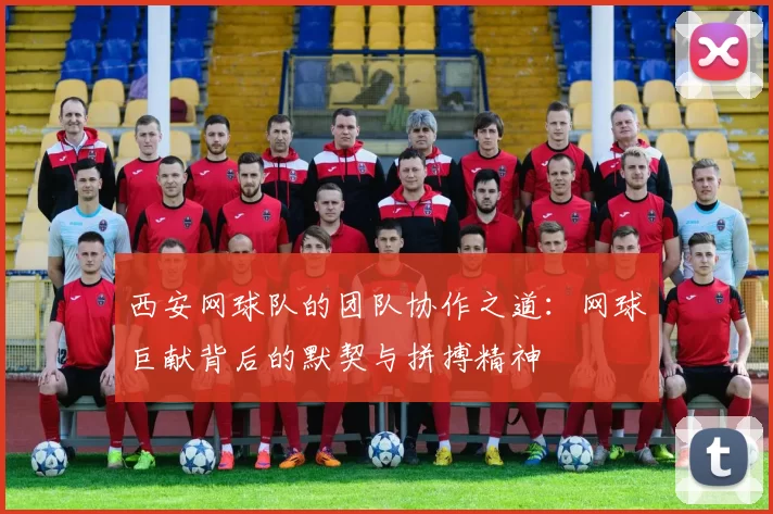 西安网球队的团队协作之道：网球巨献背后的默契与拼搏精神