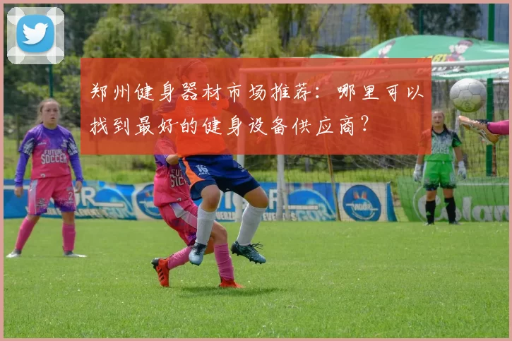 郑州健身器材市场推荐：哪里可以找到最好的健身设备供应商？