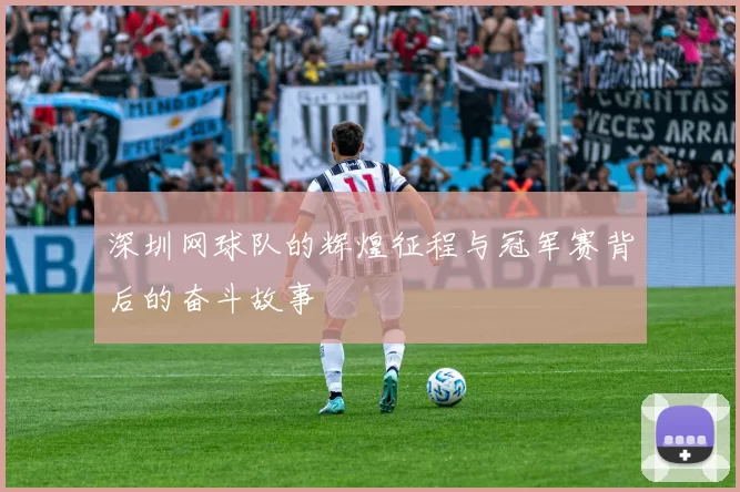深圳网球队的辉煌征程与冠军赛背后的奋斗故事