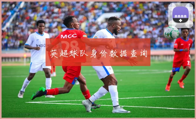 英超球队身价数据查询