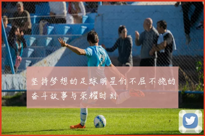 坚持梦想的足球明星们不屈不挠的奋斗故事与荣耀时刻