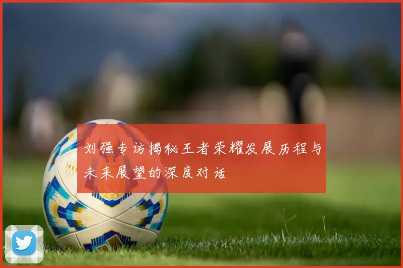 刘强专访揭秘王者荣耀发展历程与未来展望的深度对话