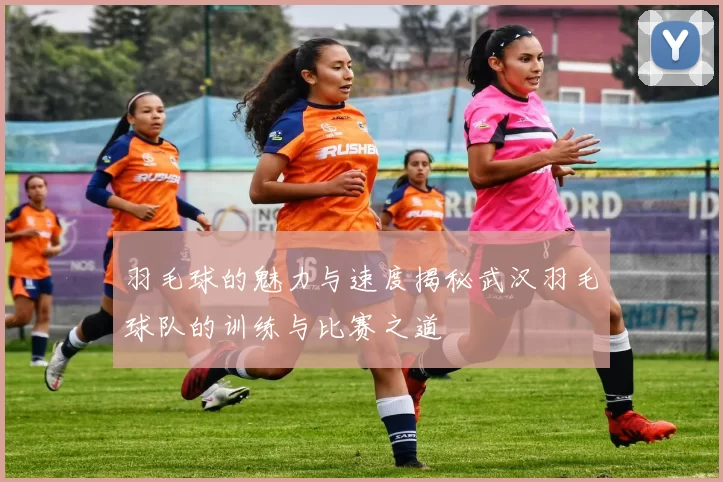 羽毛球的魅力与速度揭秘武汉羽毛球队的训练与比赛之道