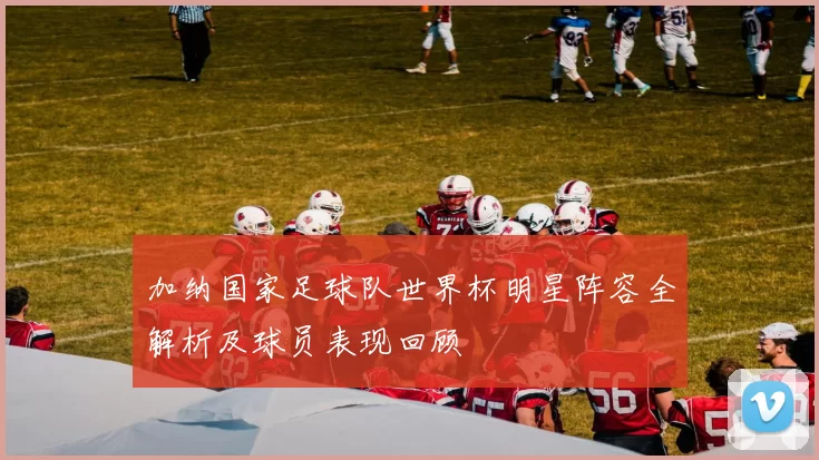 加纳国家足球队世界杯明星阵容全解析及球员表现回顾
