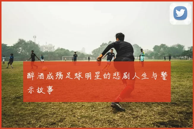 醉酒成殇足球明星的悲剧人生与警示故事