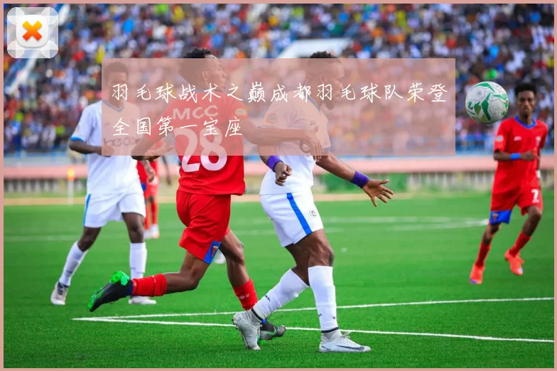 羽毛球战术之巅成都羽毛球队荣登全国第一宝座