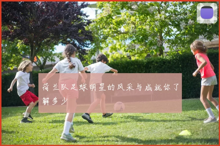 荷兰队足球明星的风采与成就你了解多少