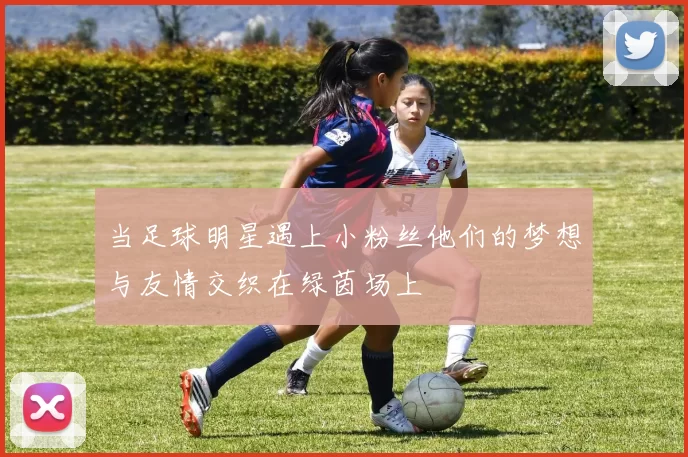 当足球明星遇上小粉丝他们的梦想与友情交织在绿茵场上