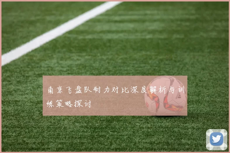 南京飞盘队耐力对比深度解析与训练策略探讨