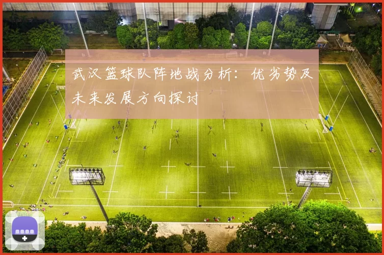 武汉篮球队阵地战分析：优劣势及未来发展方向探讨